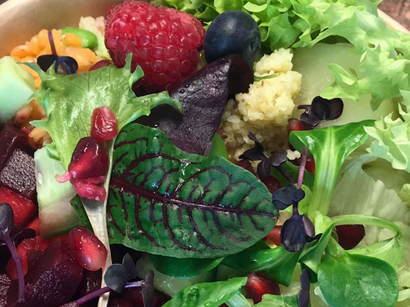 Privat-Catering Bild 2